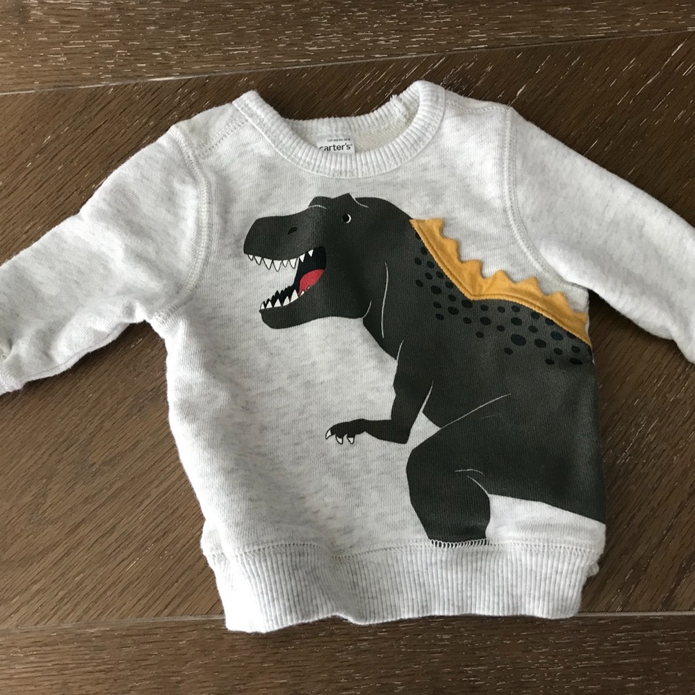 Dino sweatshirt